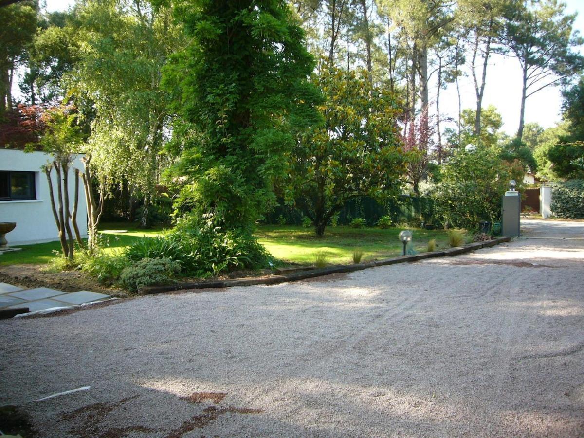 House With Heated Pool And Jacuzzi Villa Soorts-Hossegor Eksteriør billede