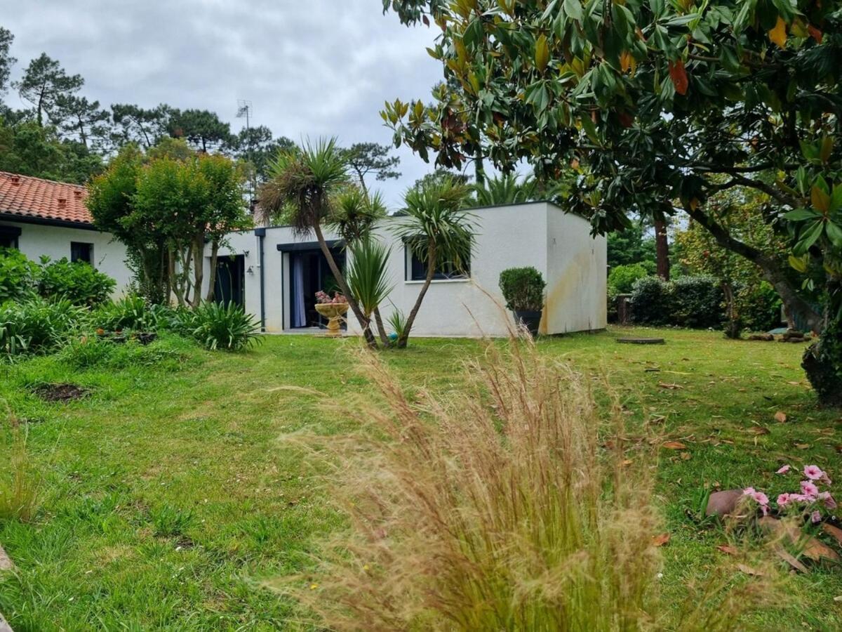 House With Heated Pool And Jacuzzi Villa Soorts-Hossegor Eksteriør billede