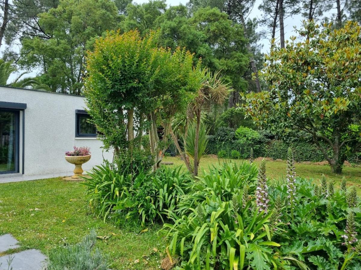 House With Heated Pool And Jacuzzi Villa Soorts-Hossegor Eksteriør billede