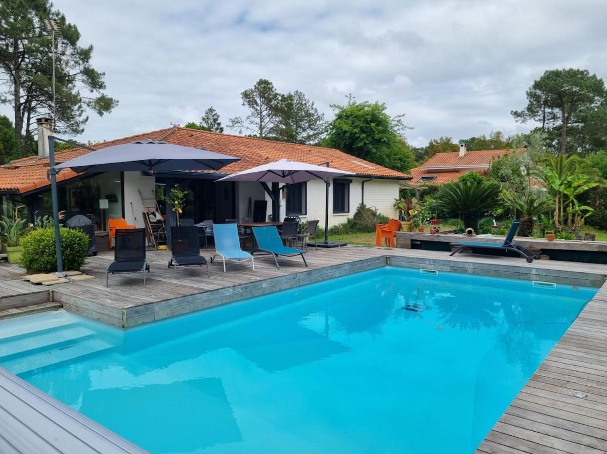 House With Heated Pool And Jacuzzi Villa Soorts-Hossegor Eksteriør billede
